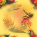 PARROT.JPG