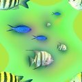 FISHIES.JPG