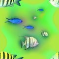 FISH2.JPG