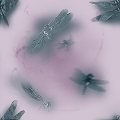 DRGNFLY3.JPG