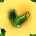 CHICKGRN.JPG