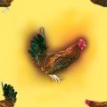 CHICKEN.JPG