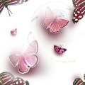 BTTRFLY6.JPG