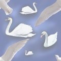 SWANSOFT.JPG