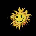 SUNNY.JPG