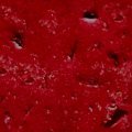 RED_WALL.JPG