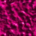 PINKBMPS.JPG
