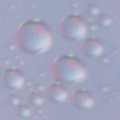 BUBBLES.JPG