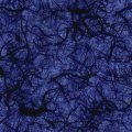 BLUEVINE.JPG