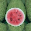 WTRMELON.JPG