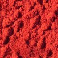PAPRIKA.JPG