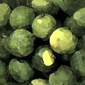 LIMES.JPG