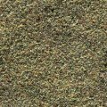BIRDSEED.JPG