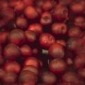 APPLES.JPG