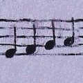 NOTES.JPG