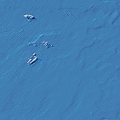 WATER2.JPG