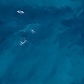WATER1.JPG