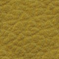 TEXTURE.JPG