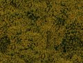 NATUR19L.JPG