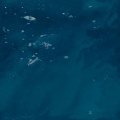 ICEFLOW2.JPG