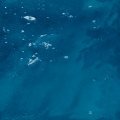 ICEFLOW1.JPG