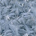 FROSTY.JPG
