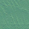FERNS.JPG