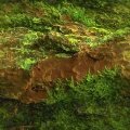 EARTH.JPG