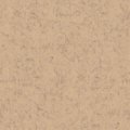 PAPER14L.JPG