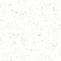 PAPER12L.JPG
