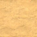 PAPER06L.JPG