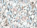 STONE13L.JPG
