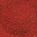 REDROCK.JPG