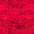 REDDIRT.JPG