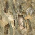 LIMSTONE.JPG