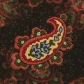 PAISLY5.JPG