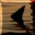 ARRO142W.JPG