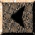 ARRO141W.JPG