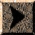 ARRO141E.JPG