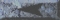 ARRO137W.JPG