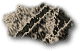 NEW00087.GIF