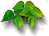 LEAF0003.GIF