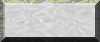 BTN05892.GIF