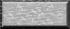 BTN05867.GIF
