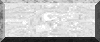 BTN05368.GIF