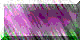 BTN04782.GIF