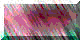 BTN04732.GIF