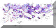 BTN04679.GIF