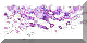 BTN04629.GIF