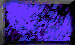 BTN04404.GIF